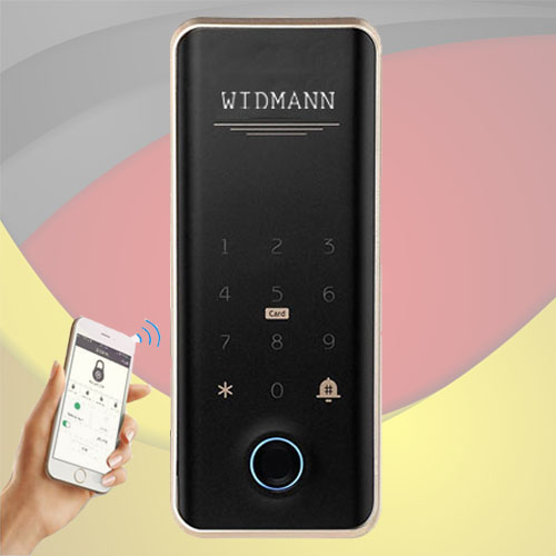 Khóa điện tử WIDMANN R21 (Vân tay - Thẻ từ - Mã Số - Wifi)